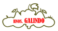 HNOS-GALINDO-transp-e1712061439898